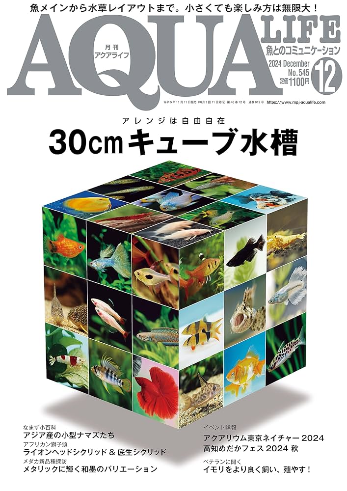月刊アクアライフ 2024年 12 月号 30cmキューブ水槽 [雑誌